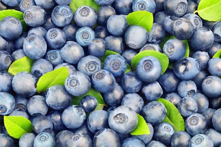 关键词:篮子甜蓝莓蓝莓果肉蓝莓汁进口蓝莓水果新鲜水果水果蔬菜超市